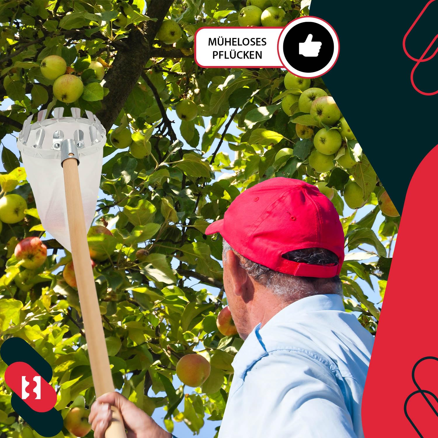 KOTARBAU® Raccoglitrice di Frutta 125mm Arnese per Raccogliere Mele In Alto Guadino Professionale