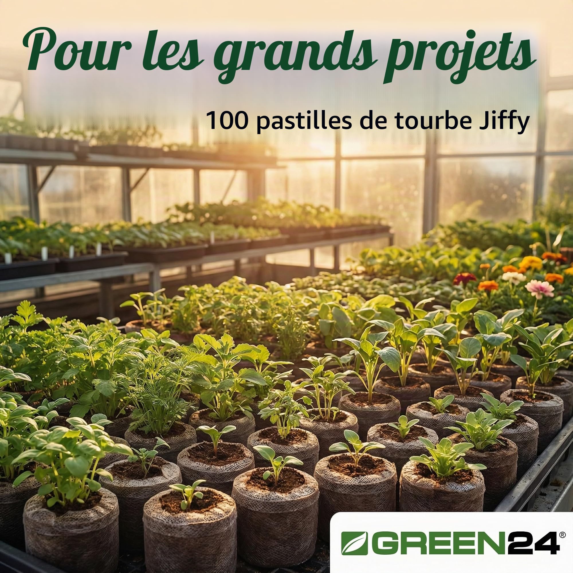 GREEN24 Lot de 100pastilles de tourbe Jiffy® mm pour chambres de culture hydroponiques de 44 mm, terreau de culture, tourbe, avec instructions (français non garanti)