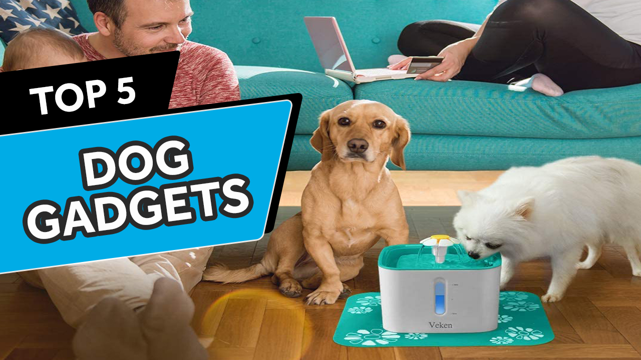 top dog gadgets