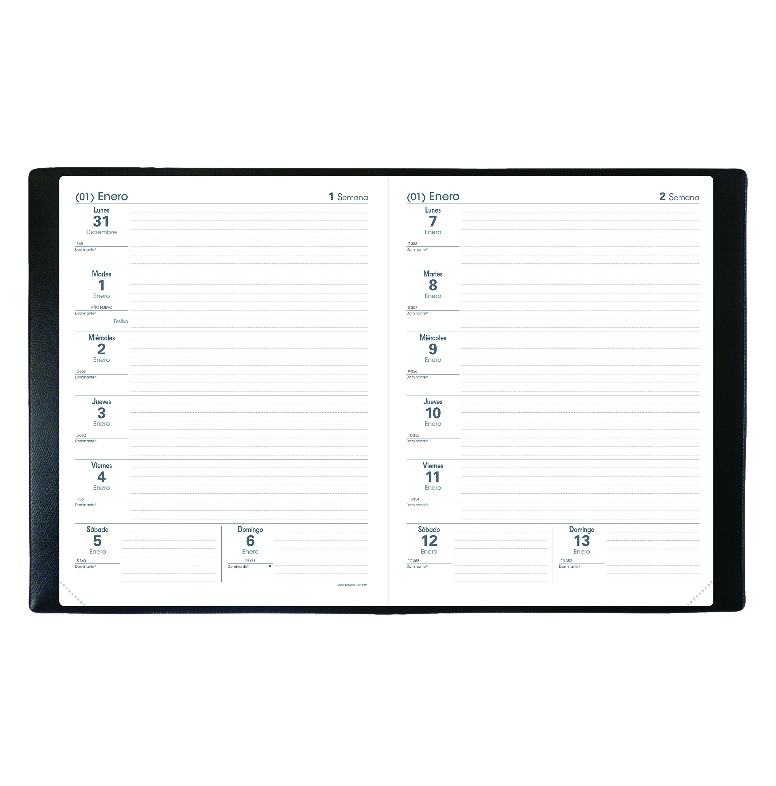 Quo Vadis Agenda Professor 2018 – 2019, Black
