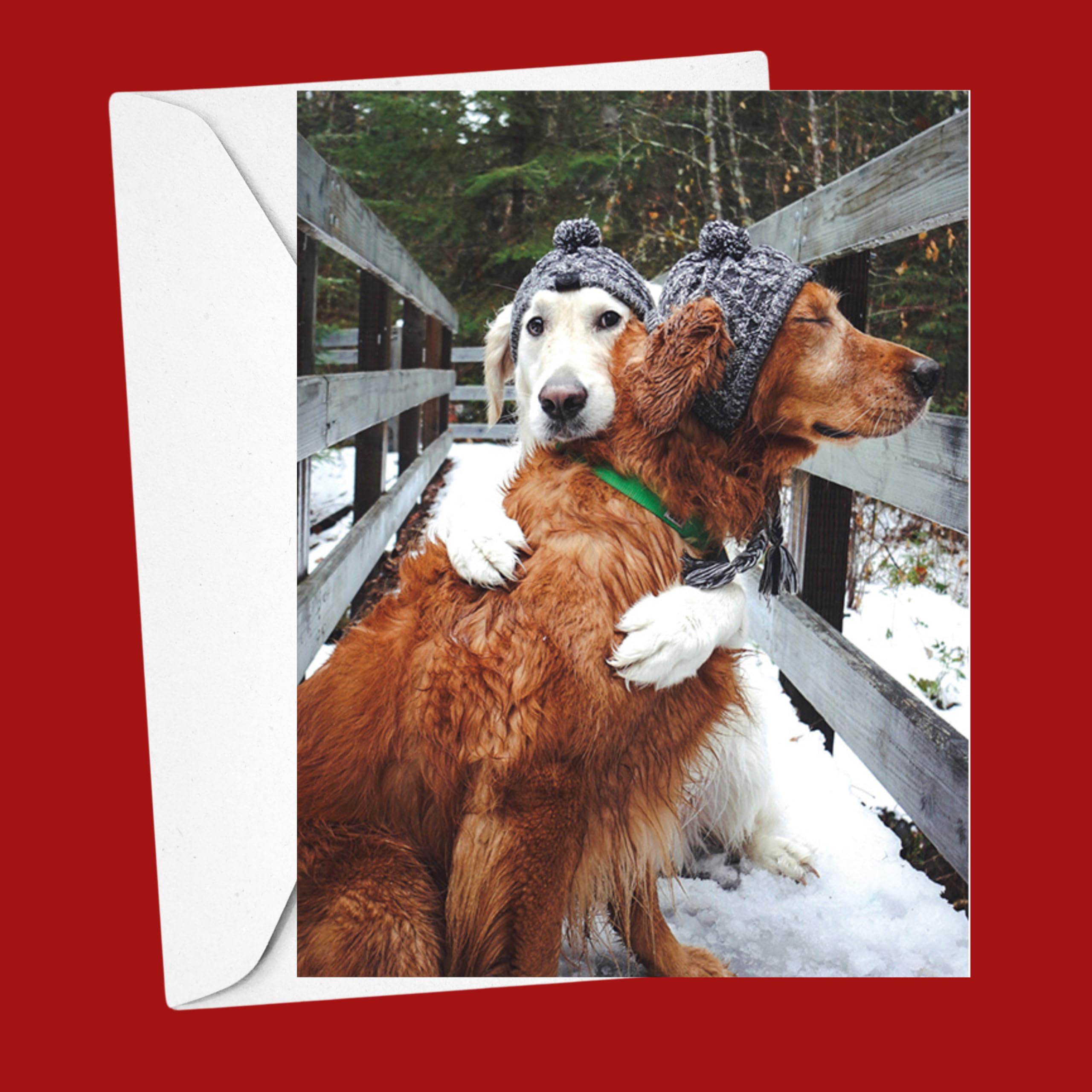 Galison Puppy Love – Notecard Set Featuring Adorable Holiday Dogs 20 Cards And 21 Envelopes