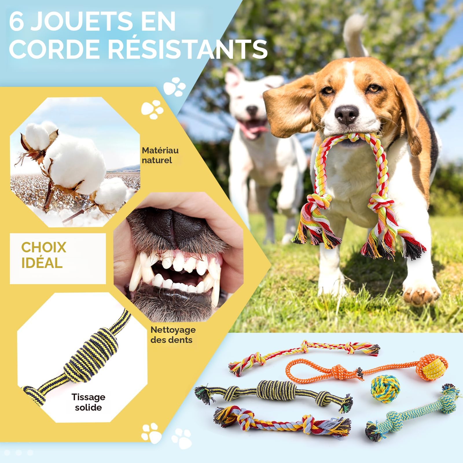 Jouet Couineur En Peluche Pour Chien En Forme De Rose - Jouet De Dentition Interactif Pour Chiens - Améliore La Santé De L'animal De Compagnie - Jouet Couineur Mignon à Mâcher Pour