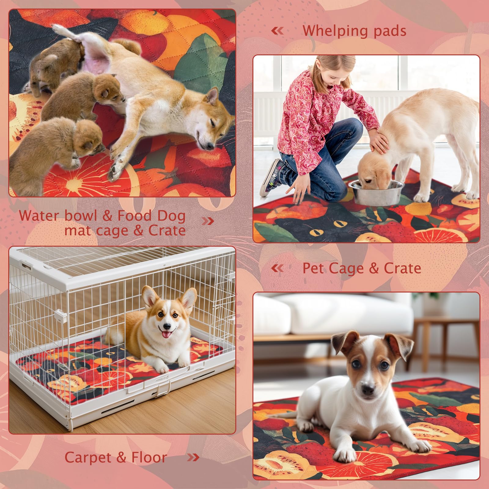 BVAGSS 2 Pezzi Tappetini Assorbenti per Cani, Tappeti Lavabili Riutilizzabili, Antiscivolo, Alta Assorbenza Addestramento traversine per cani XH081 (90x60cm,Cat)