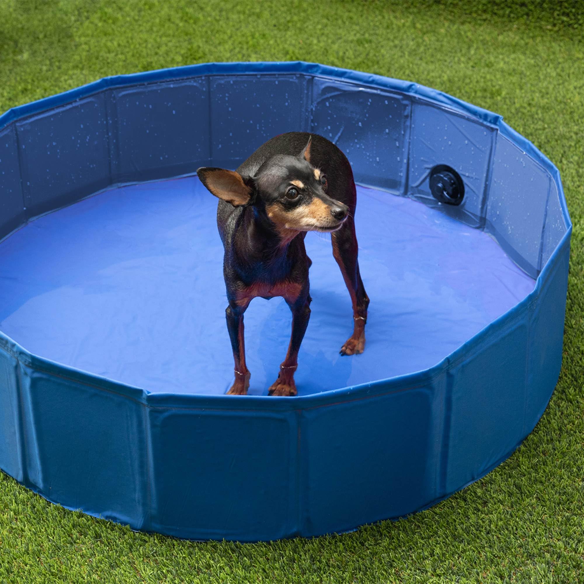 WELL HOME MOBILIARIO & DECORACIÓN Piscina Desmontable para Mascotas Ø120x30cm Azul Antideslizante