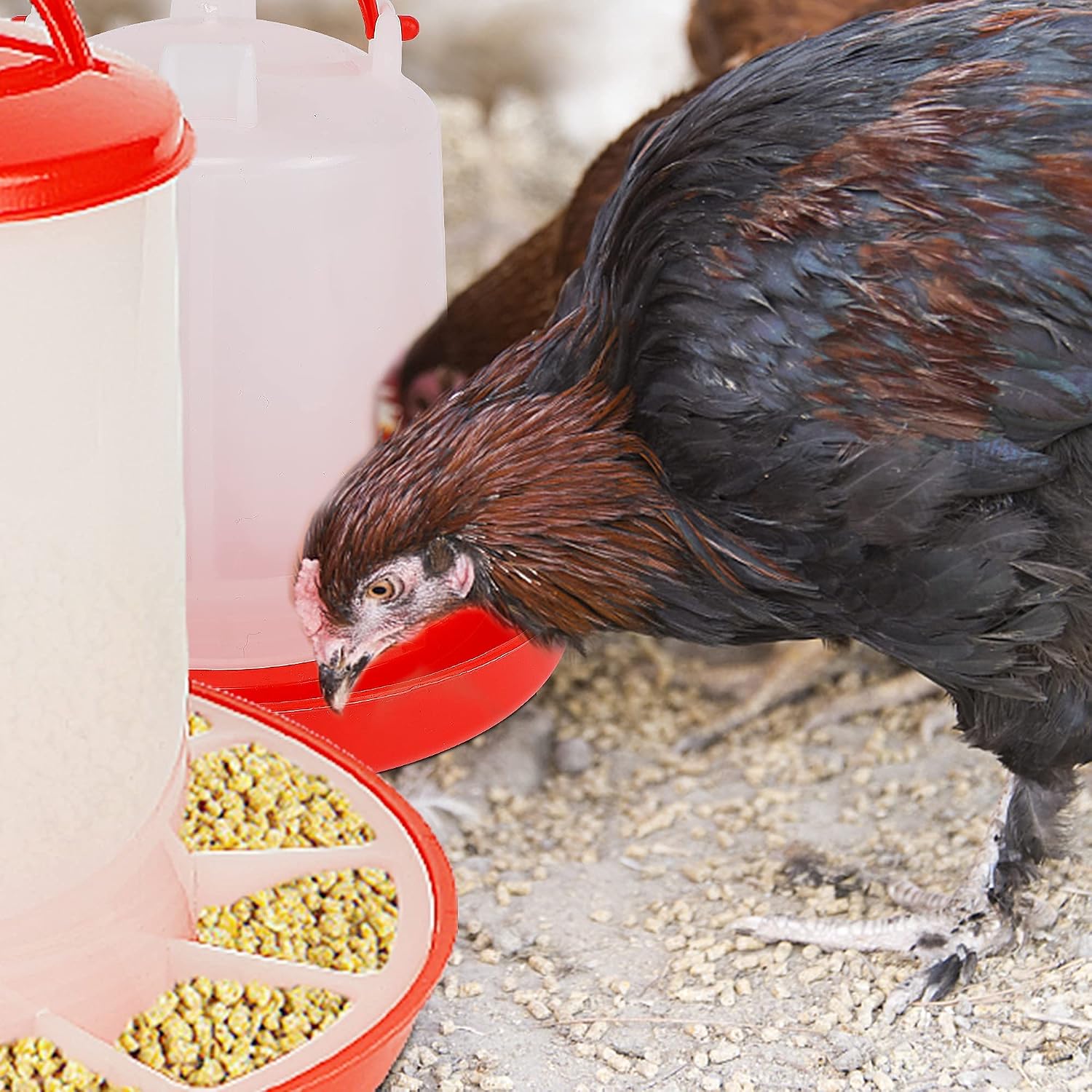 winemana Chick Feeder 1 Lb and Waterer 1.5 L Kit, Hanging Poultry Plastic Containers for Outdoor