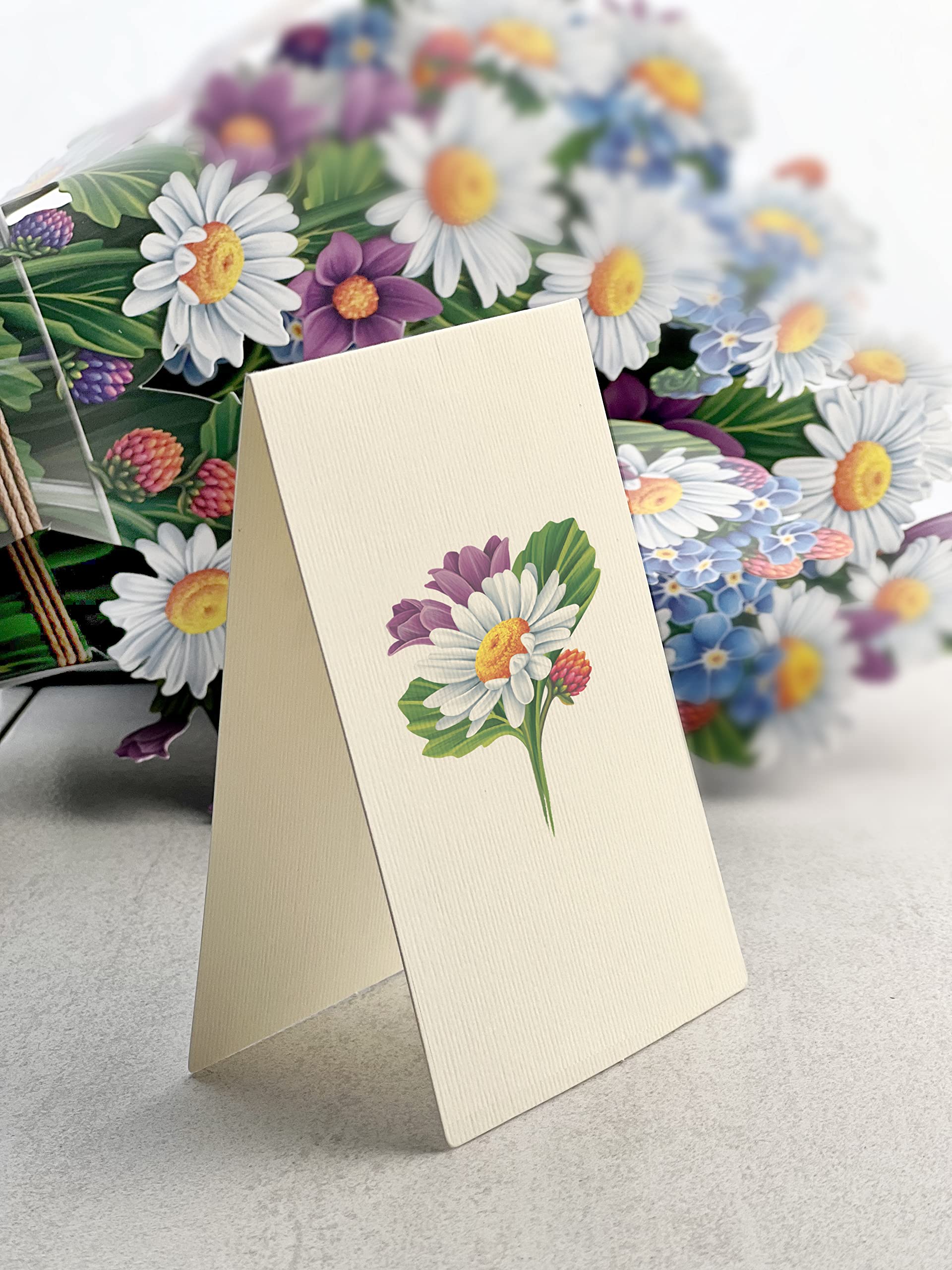 Freshcut Paper Pop Up Cards, Field of Daisies, 12 Inch Life Sized Forever Flower Bouquet 3D Popup Greeting Card, Birthday Cards, Get Well Gifts, Blank Notecard & Envelope