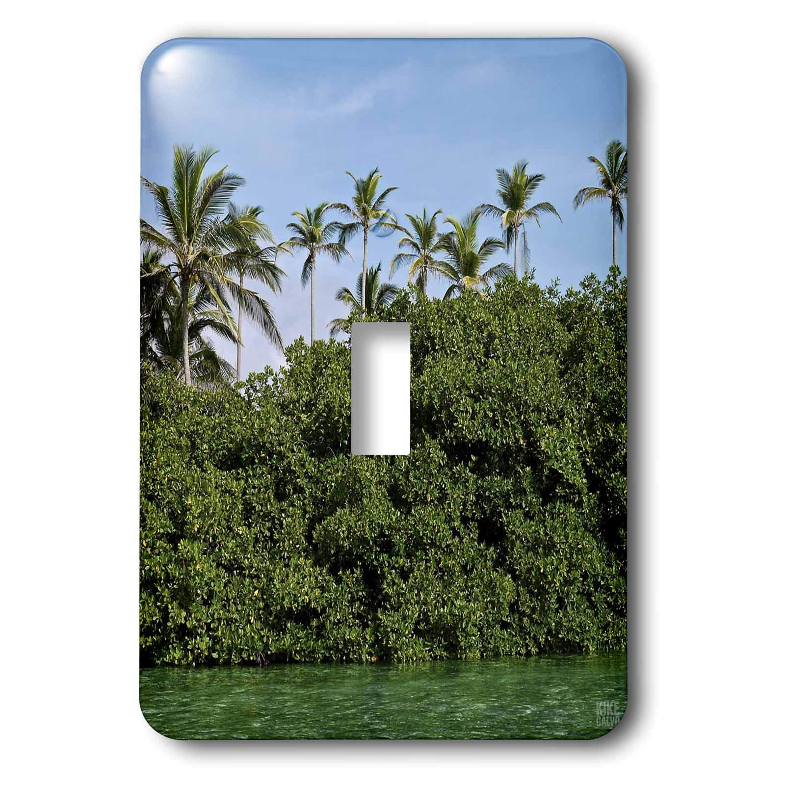 3dRose LLC lsp_10395_1 Mangrove Dutch Keys San Blas Islands, Single Toggle Switch