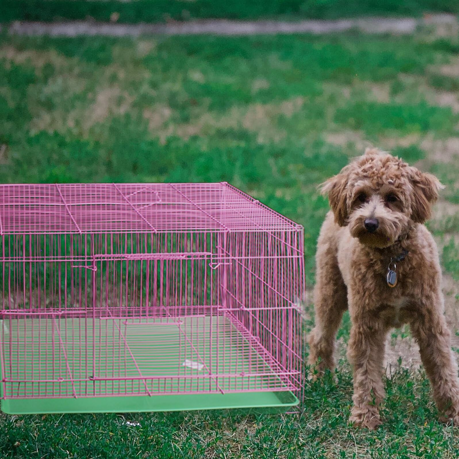Fondo per Gabbia Coniglio Vaschetta Pet Tray in Plastico Verde Resistente a Usura e Macchie per Gabbia di Animali Domestici