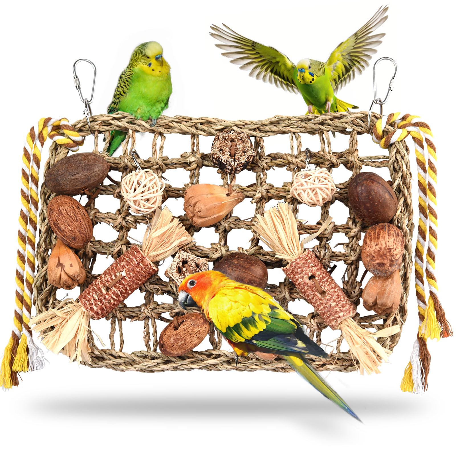 Jouets pour Oiseaux