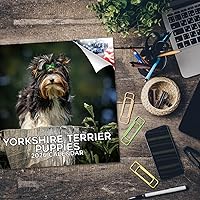 Vista 1164 de Razas de Perros 2017