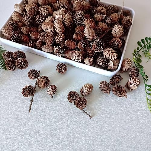Miniatura 7 de OSTTRPO Conos grandes de pino natural, piñas rústicas de Navidad a granel para manualidades y Navidad, Acción de Gracias, decoración de manualidades