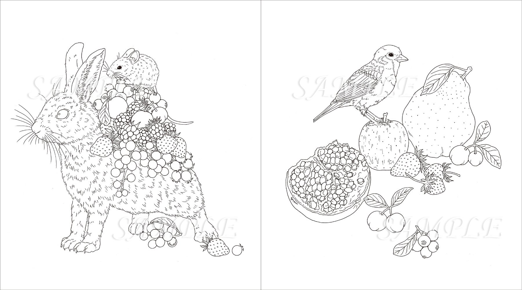 Garden Coloring Book 小鳥と花と動物のぬり絵 玄光社ムック Garden 本 通販 Amazon