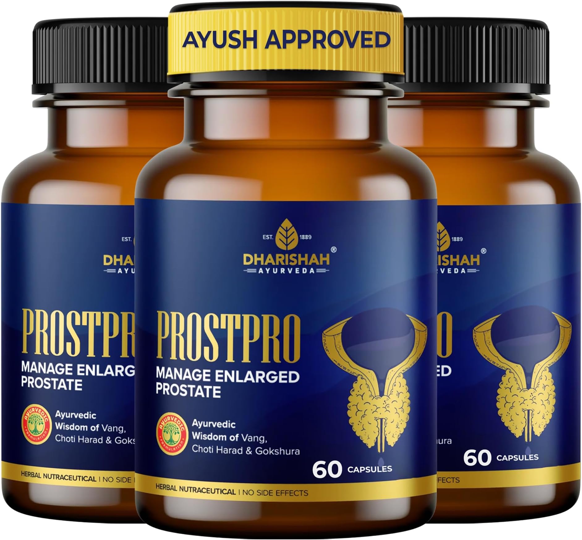 Dharishah Ayurveda ProstPro 180 Capsules – Ayurvedic Prostate Support Supplement with Gokshura & Other Herbal Extracts – Helps Support Urinary Flow & Men’s Wellness