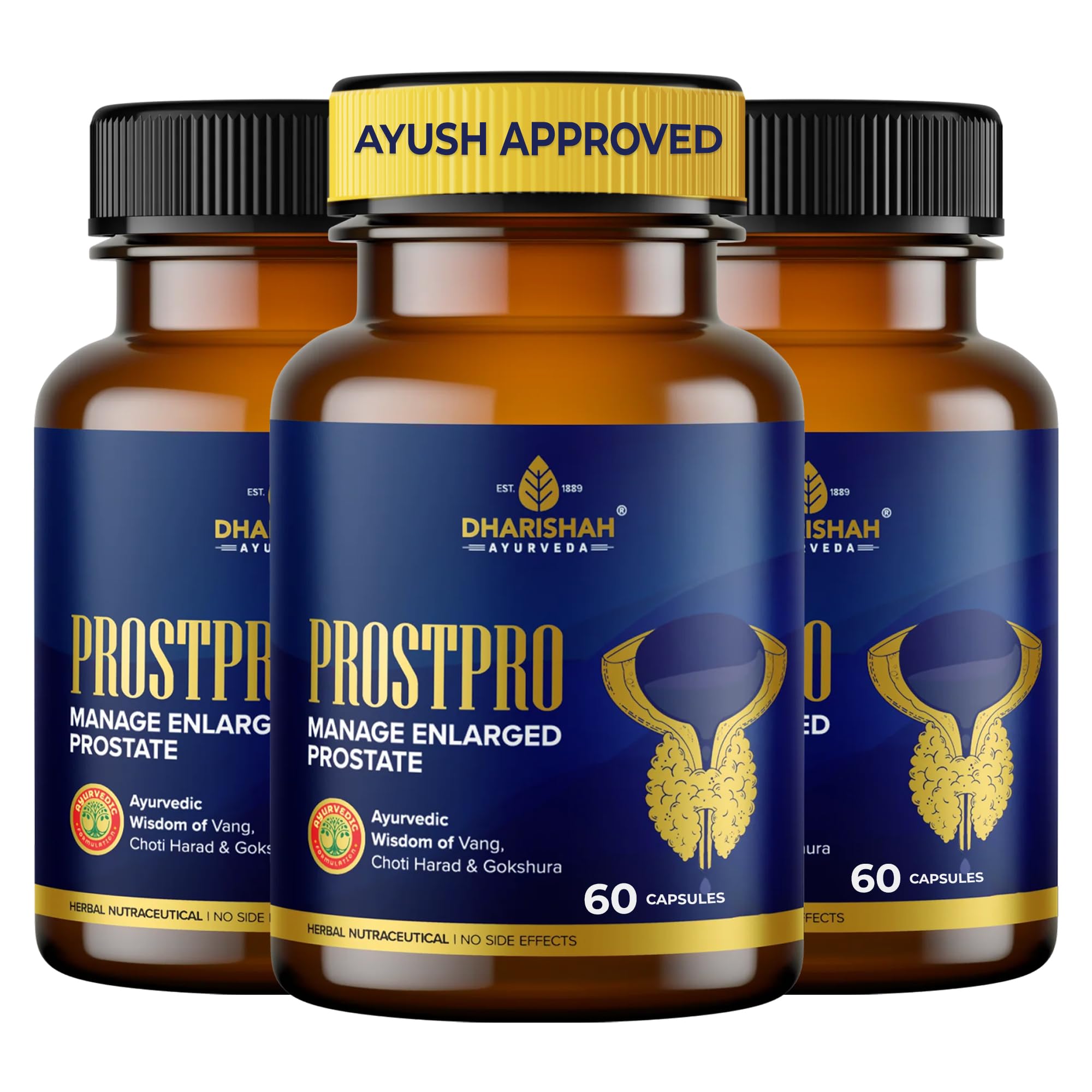 Dharishah Ayurveda Prostpro Ayurvedic Capsule | 180 Capsules