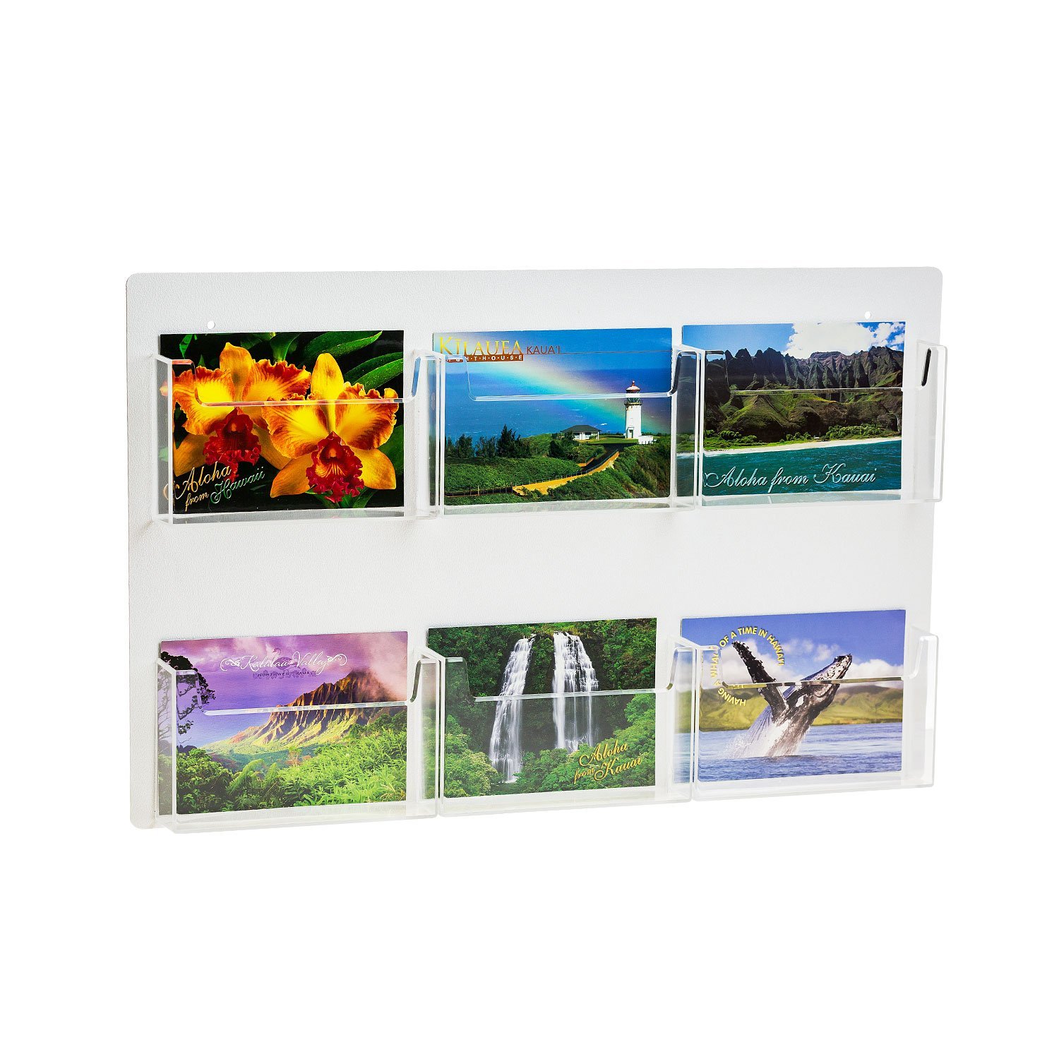 SOURCEONE.ORG Multiple Pocket Deluxe Clear Postcard Holder Display Wall Mount