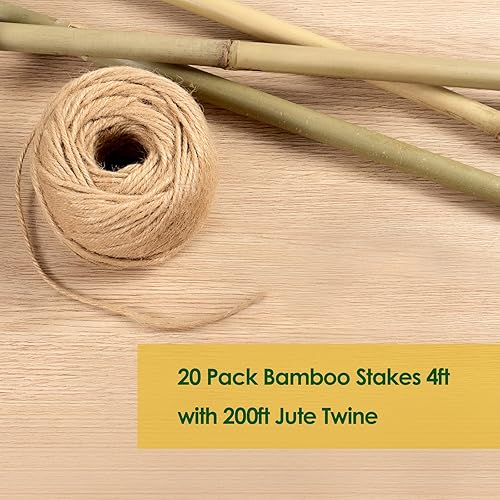 Miniatura 4 de Estacas de bambú de 4 pies más gruesas con cordel de jardín, diámetro de 0.55 pulgadas, estacas naturales de bambú para plantas trepadoras, soporte