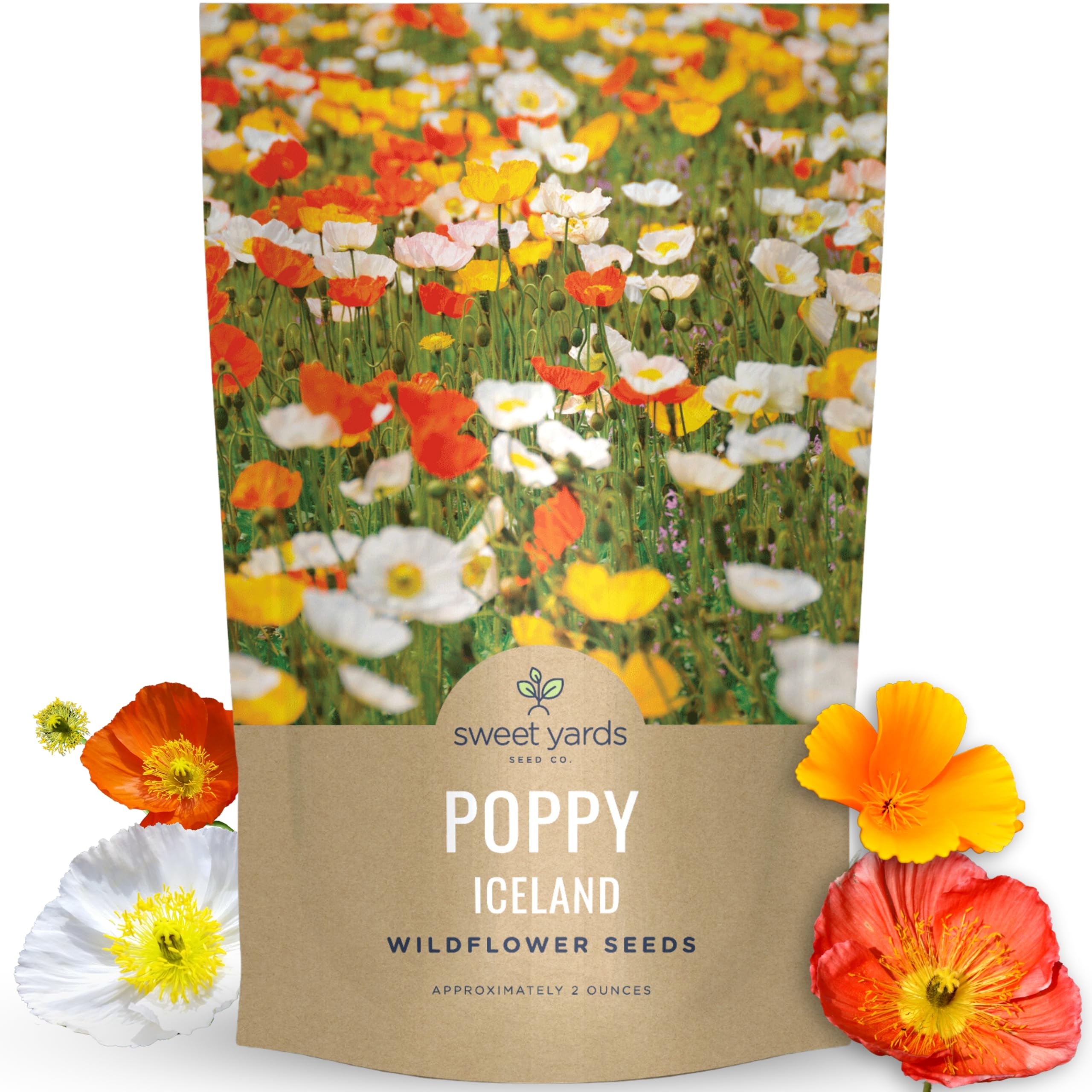 Poppy Iceland Bulk Seeds