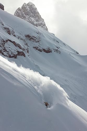 Miniatura 7 de POC Fornix MIPS