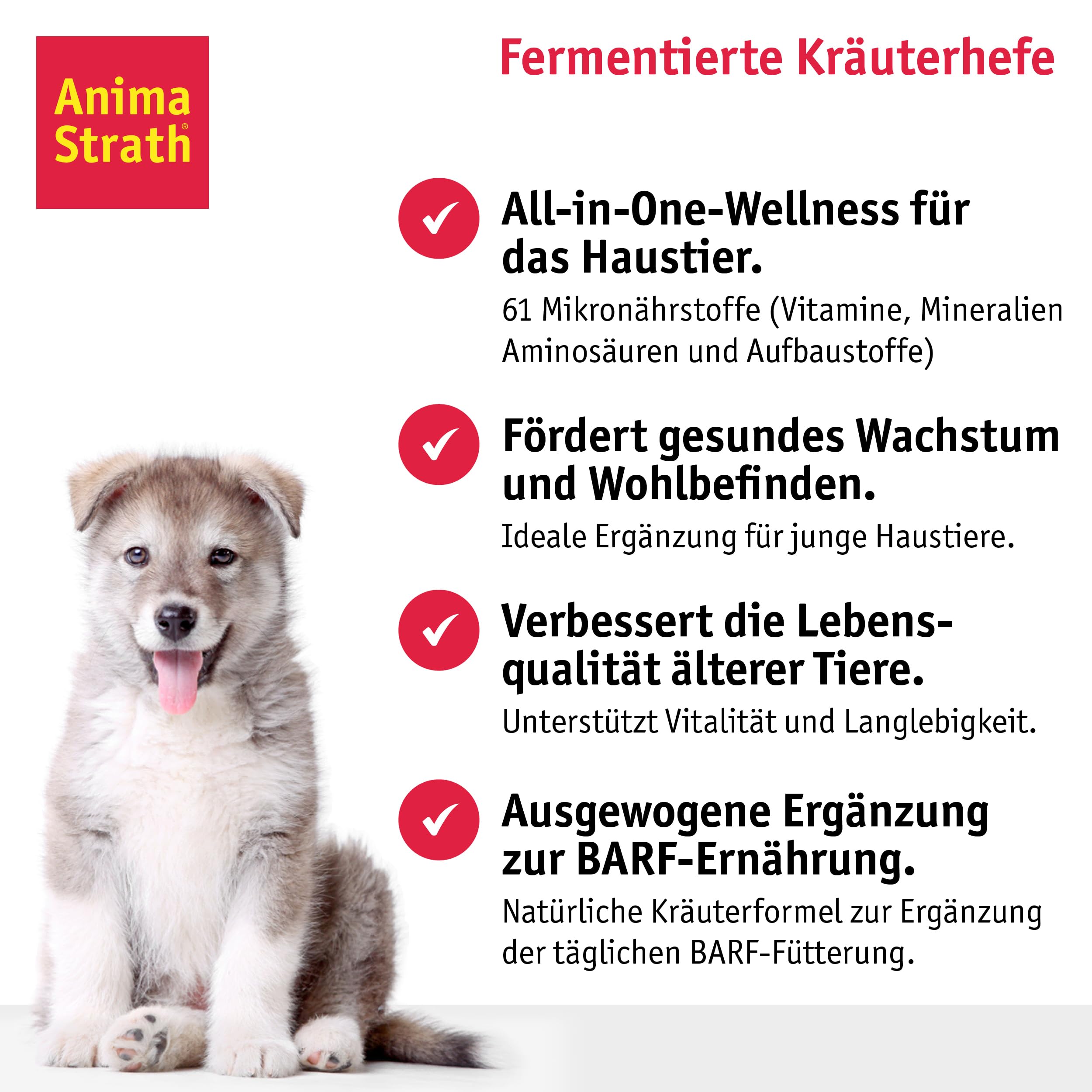 Anima-Strath Granulat - Natürliches Nahrungsergänzungsmittel für Hunde & Katzen | Immunsystem & Verdauungspflege, 61 Nährstoffen, Vitaminen, Mineralien, Aminosäuren & präbiotischen Qualitäten