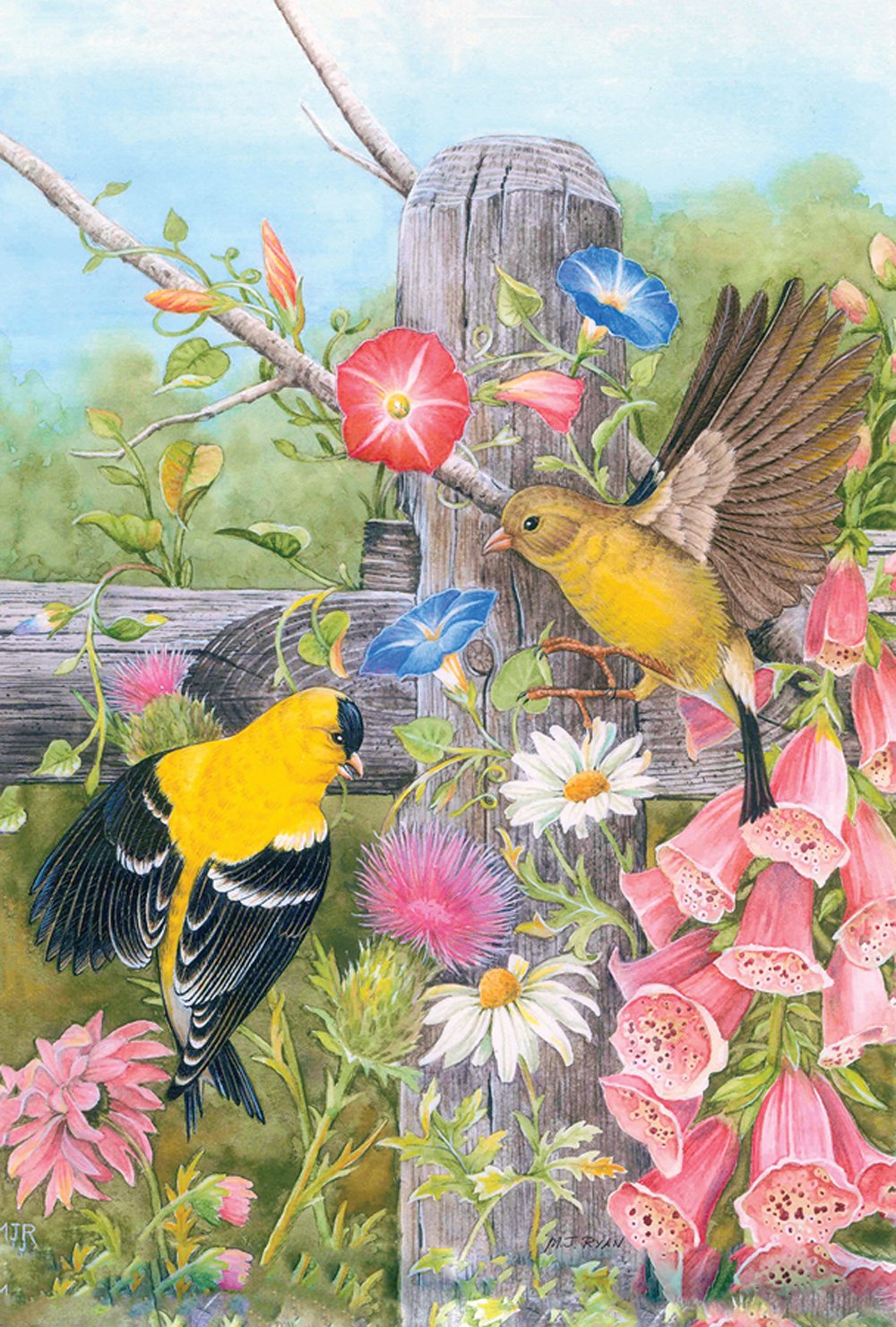 Toland Home Garden 119971 Foxglove Gold Finches Bird Flag 12x18 Inch Double Sided for Outdoor House Yard Decoration
