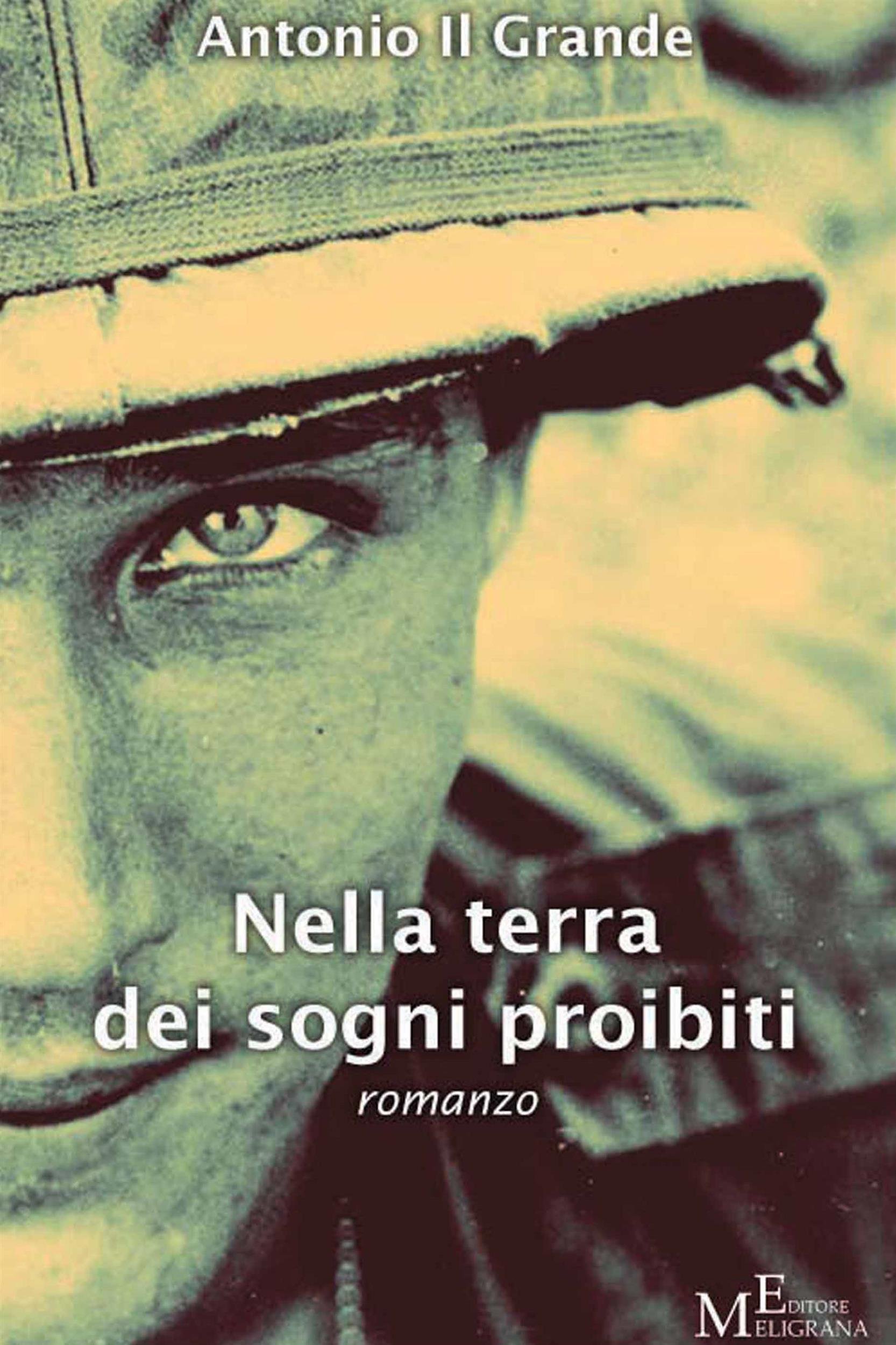 Nella terra dei sogni proibiti: romanzo (Italian Edition)