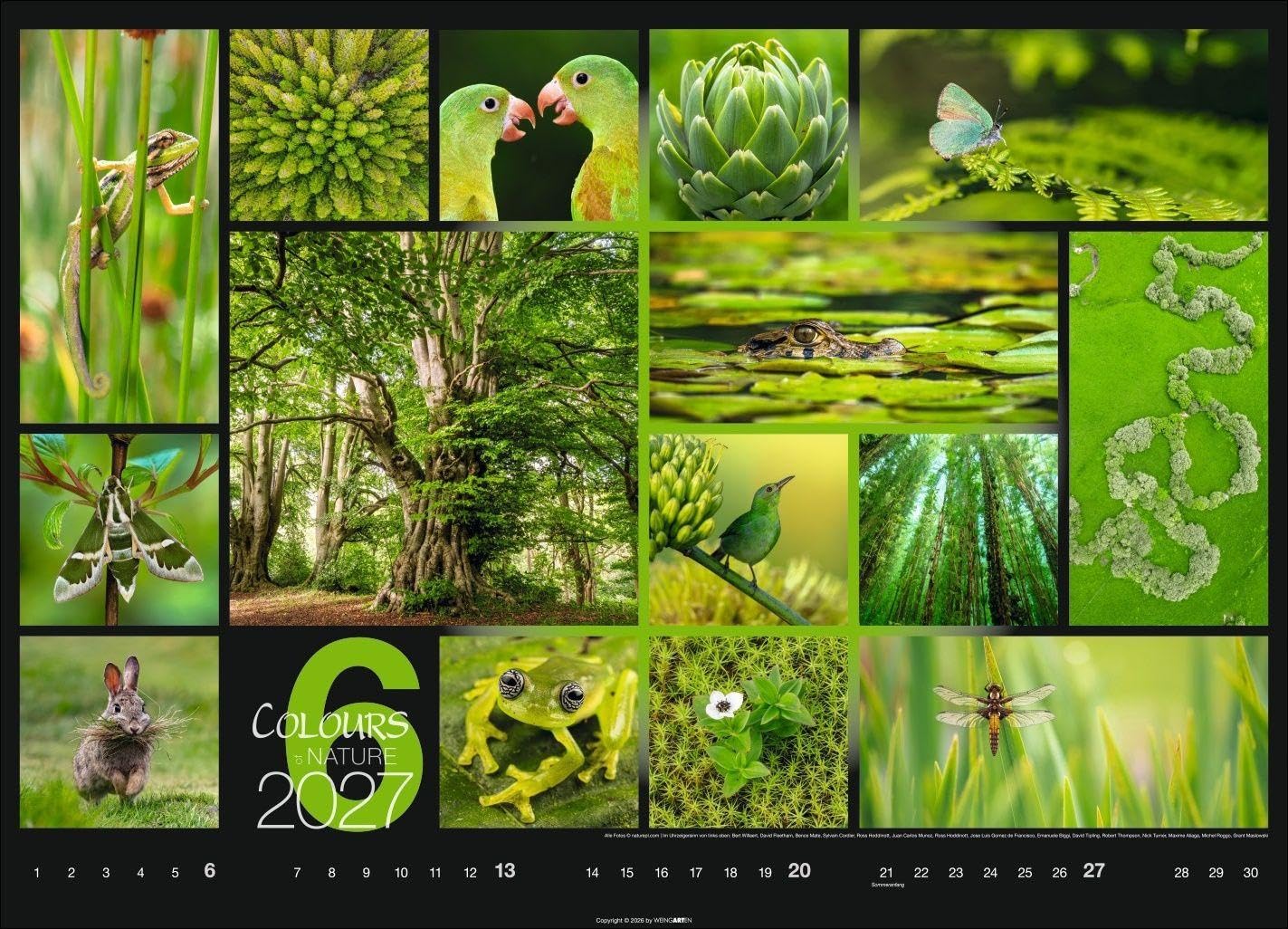Colours of Nature Kalender 2027: Großer Foto-Wandkalender im Querformat 68 x 49 cm. Natur-Kalender 2027 mit harmonischen Bild- und Farbkompositionen für jeden Monat.