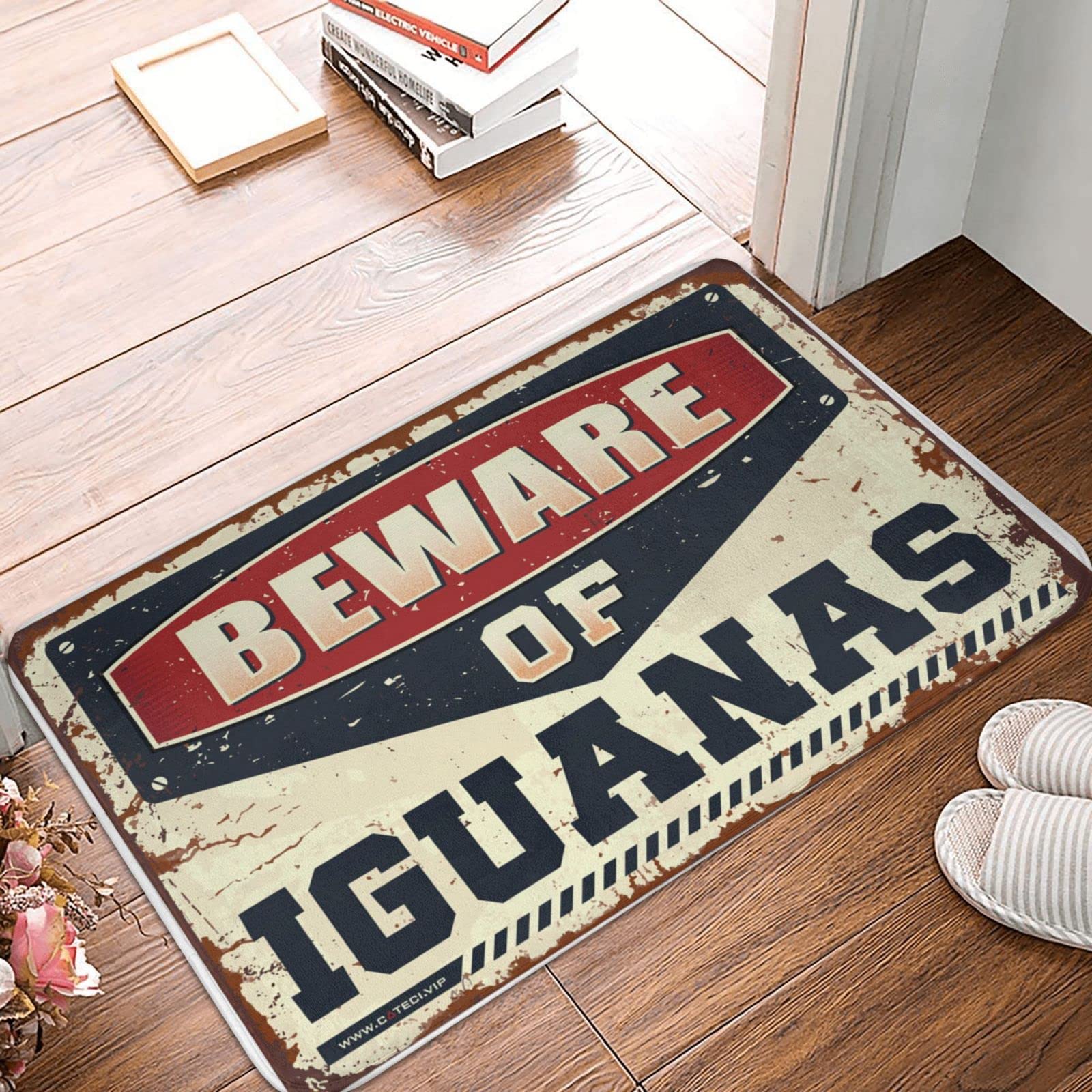 Paillasson extérieur Méfiez-vous des iguanes, tapis grand format 65x90cm