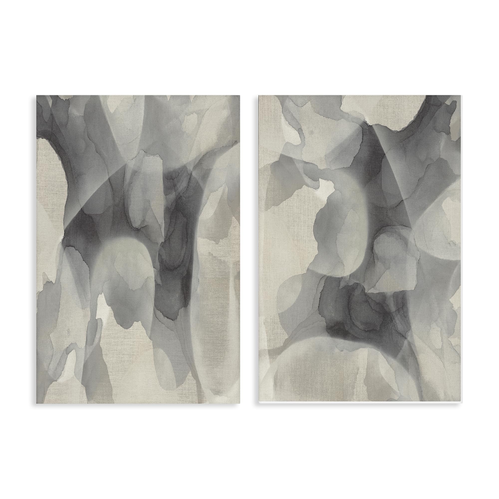 'Mottled Fluid Monochrome'| 2pc Canvas Art Set 2