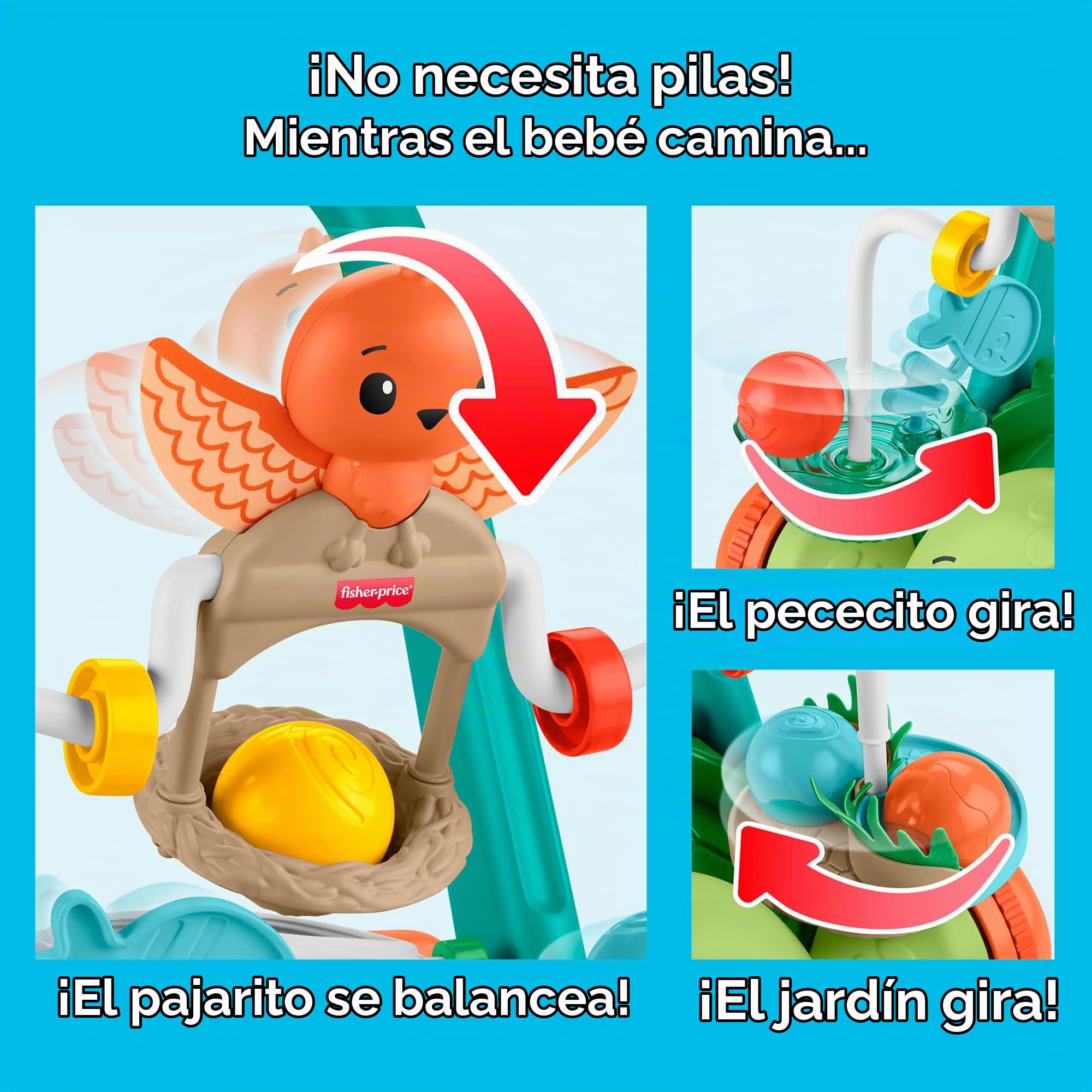 Fisher-Price Andador Tortuga Moves with You Juguete de Empuje Bebé