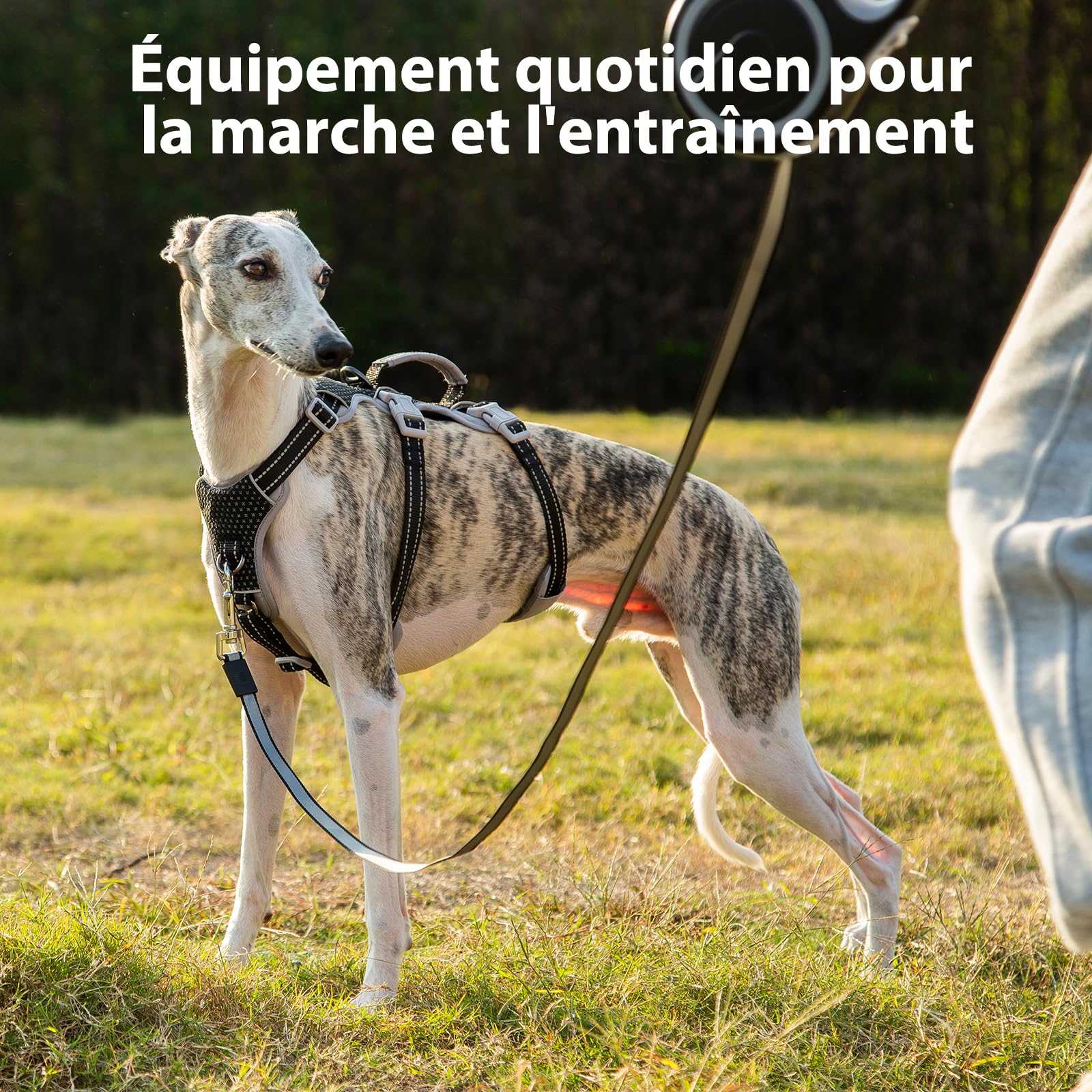 Huntboo Harnais Anti-Fugue pour Chien Entièrement Réfléchissant avec Poignée, Respirant, Durable, Gilet Réglable pour Chiens de Taille Moyenne, pour la Marche, Le Dressage