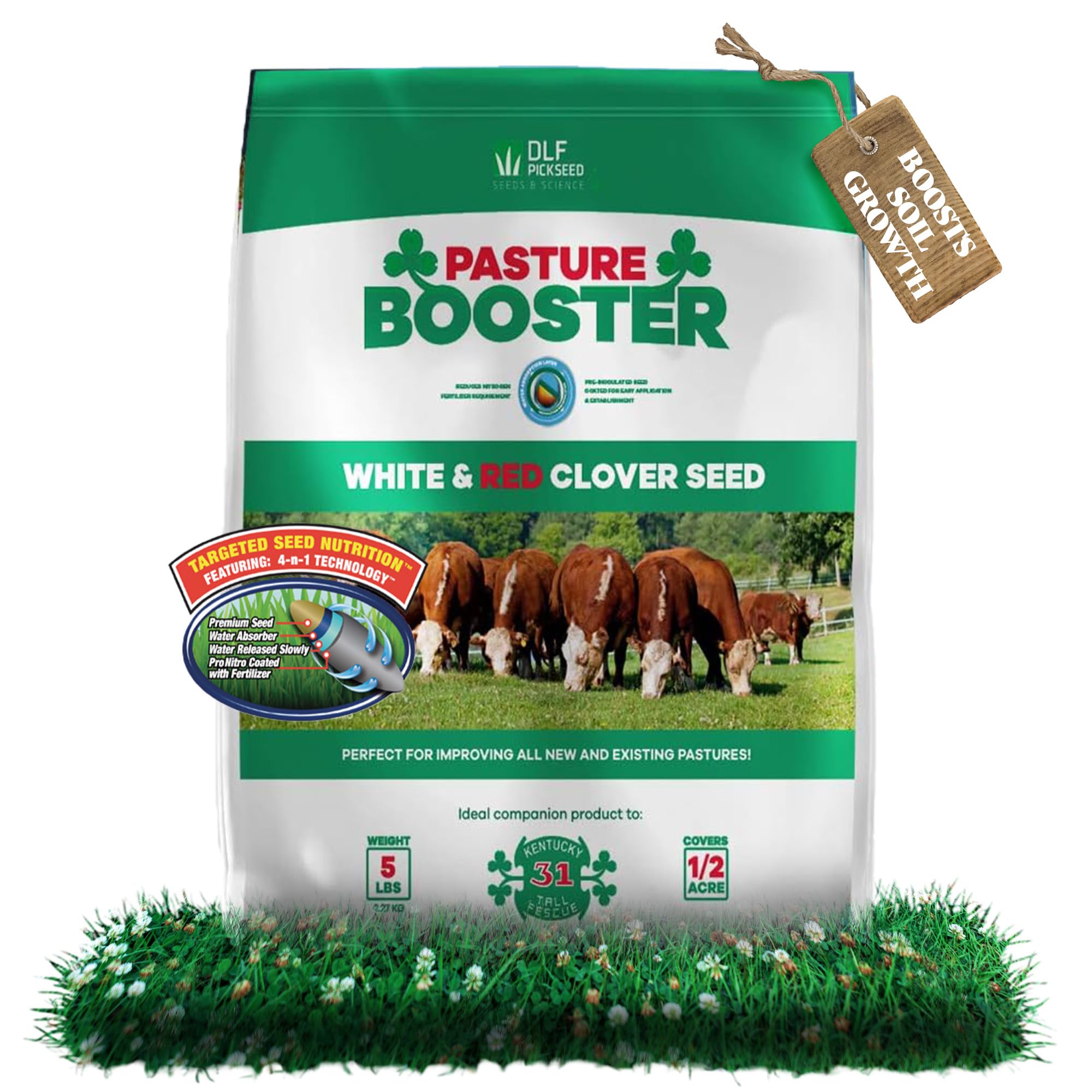 DLF Pasture Booster Clover