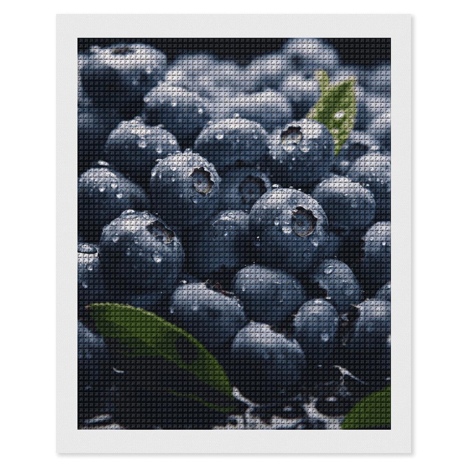 Delicious Blueberry Diamond Art Kits for Adults, DIY 5D Diamonds Painting Kits for Beginner, Round Full Drill Diamond Dots Painting, 16"x20" Diamonds Pictures Gem Art and Crafts Wall Decor