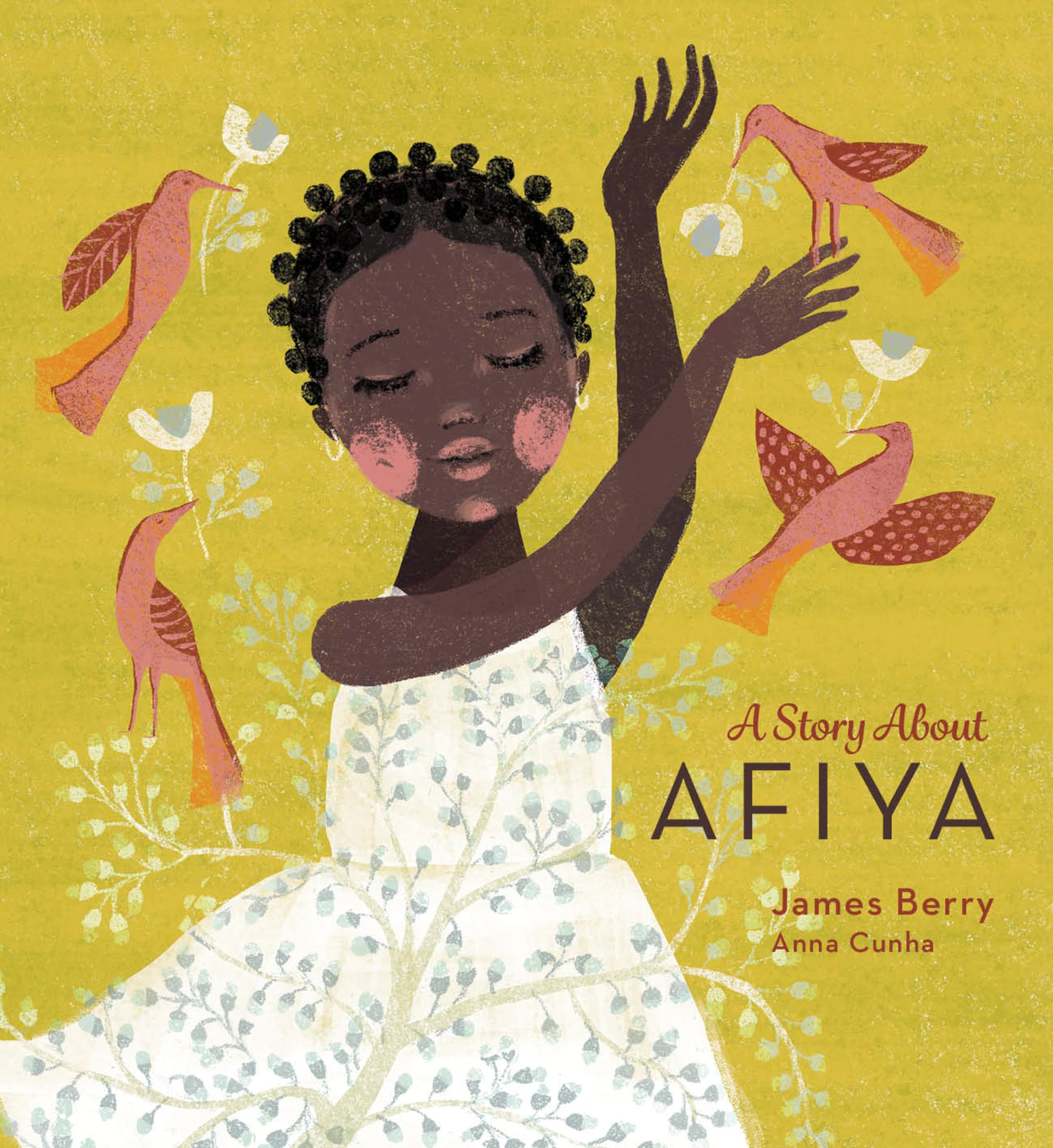 A Story About Afiya by James Berry, Anna Cunha - 9781913747893