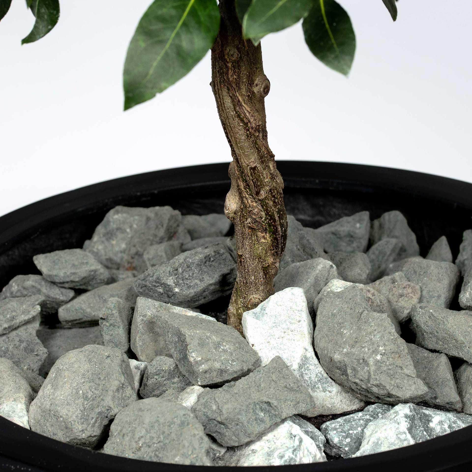 Schicker Mineral Diabas Ziersplitt grau 25 kg, Naturstein, Splitt für Steingärten, Beet, Gartenteich, Fassadenschutz, Weg- und Terrassengestaltung, robust, witterungsbeständig (Körnung 32-56 mm)