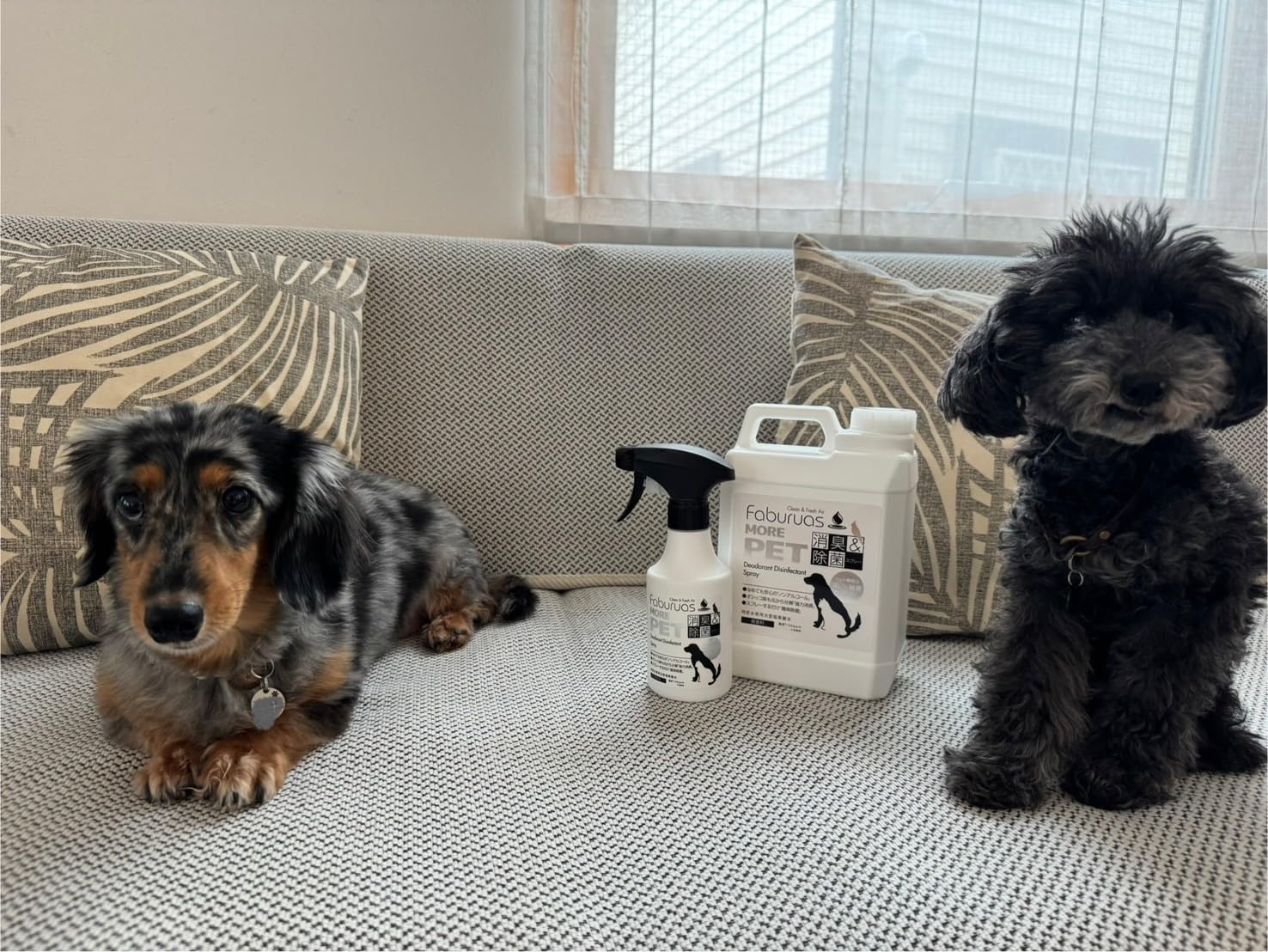 Amazon.co.jp: 特許水仕様！犬・猫のおしっこ臭に！獣医師も使用する