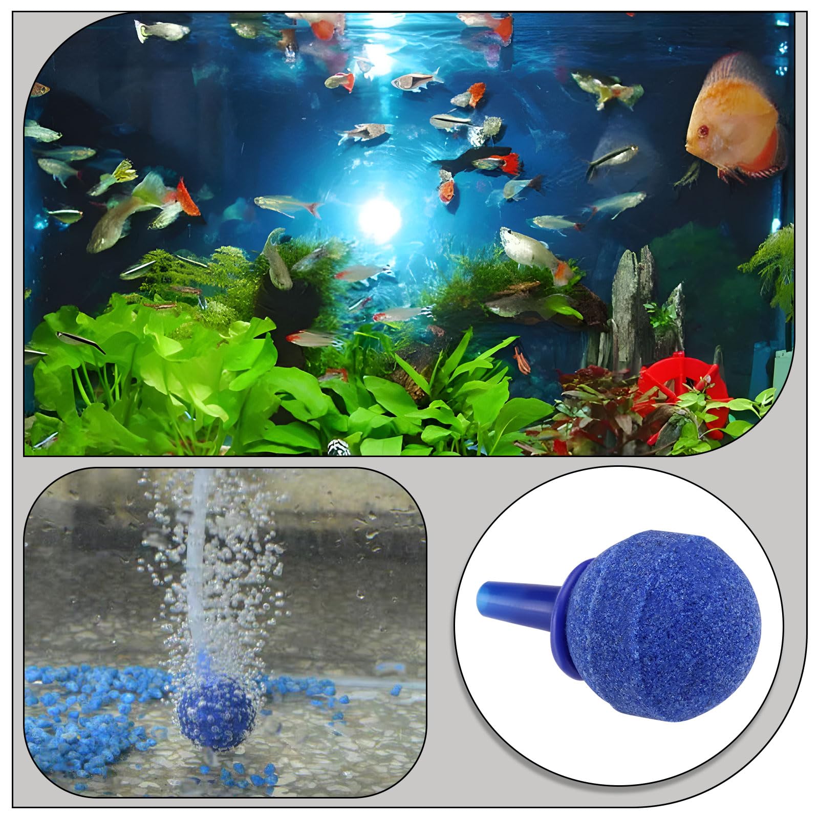 OTOTEC 20Pcs Round Aquarium Air Stones 4mm Fish Tank Round Air Bubble Stones for Pond Aquarium Pond Air Pumps 20x4mm Blue Air Stone - Image 3