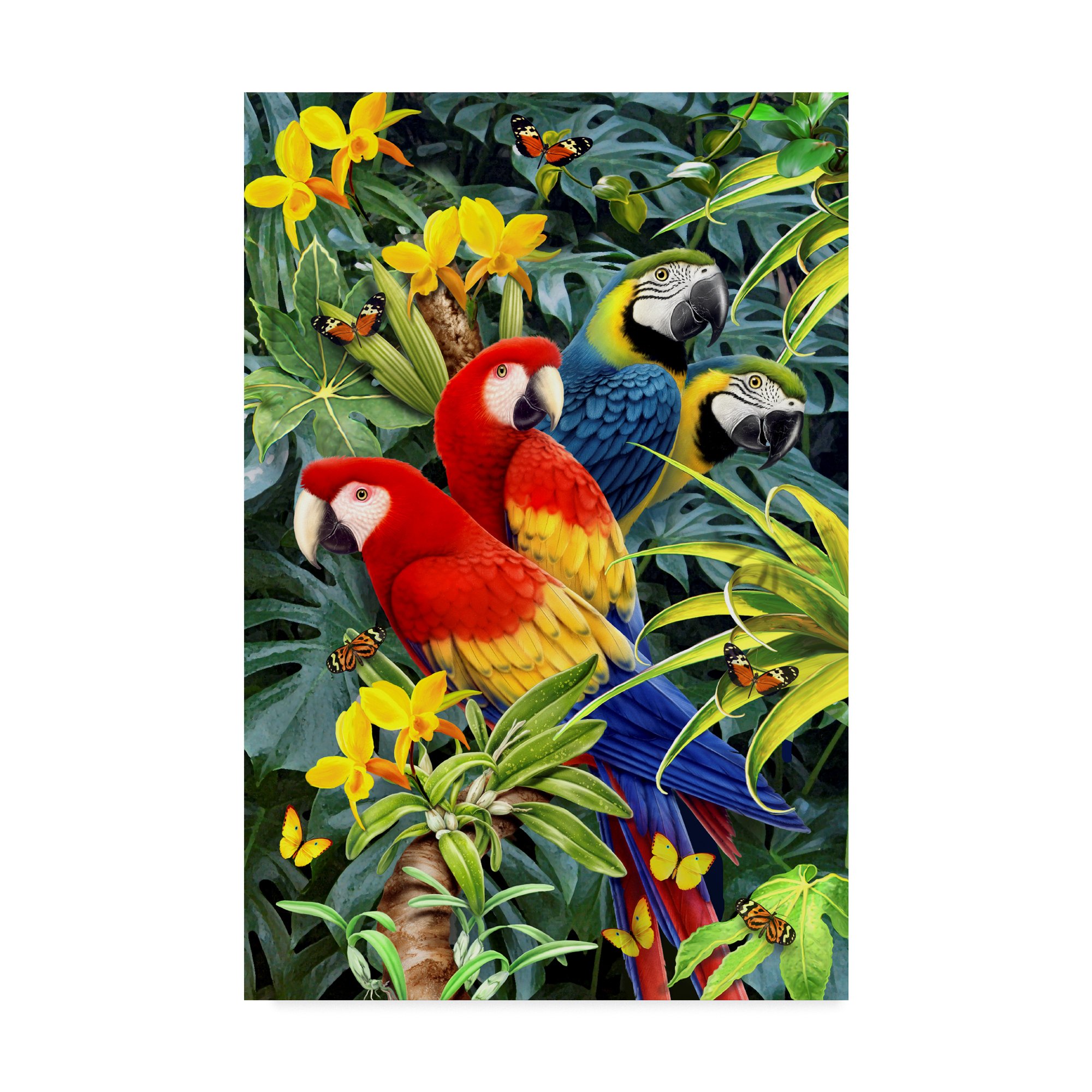 Amazon.co.jp: ハワード・ロビンソン作「花に座るオウム」12x19インチ