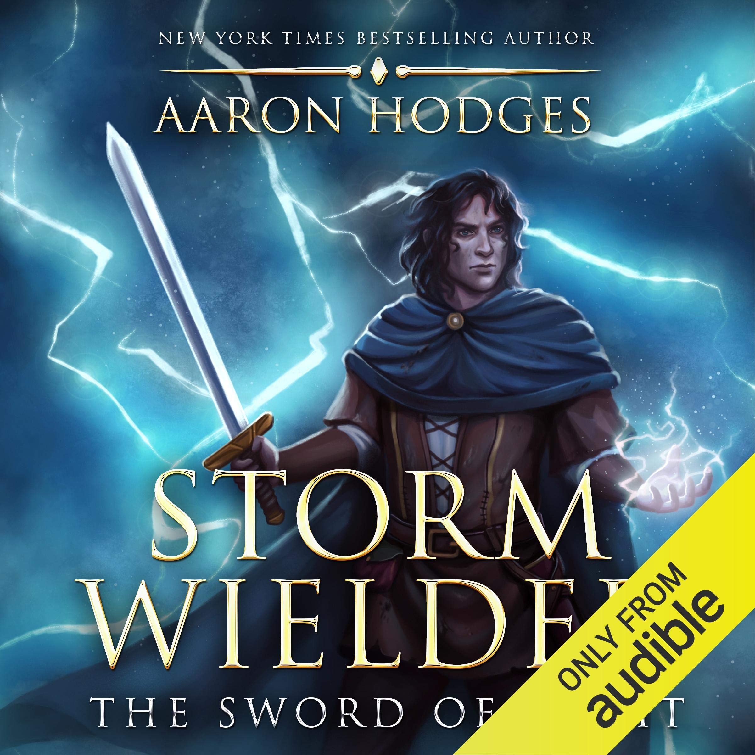 Cover art for Stormwielder
