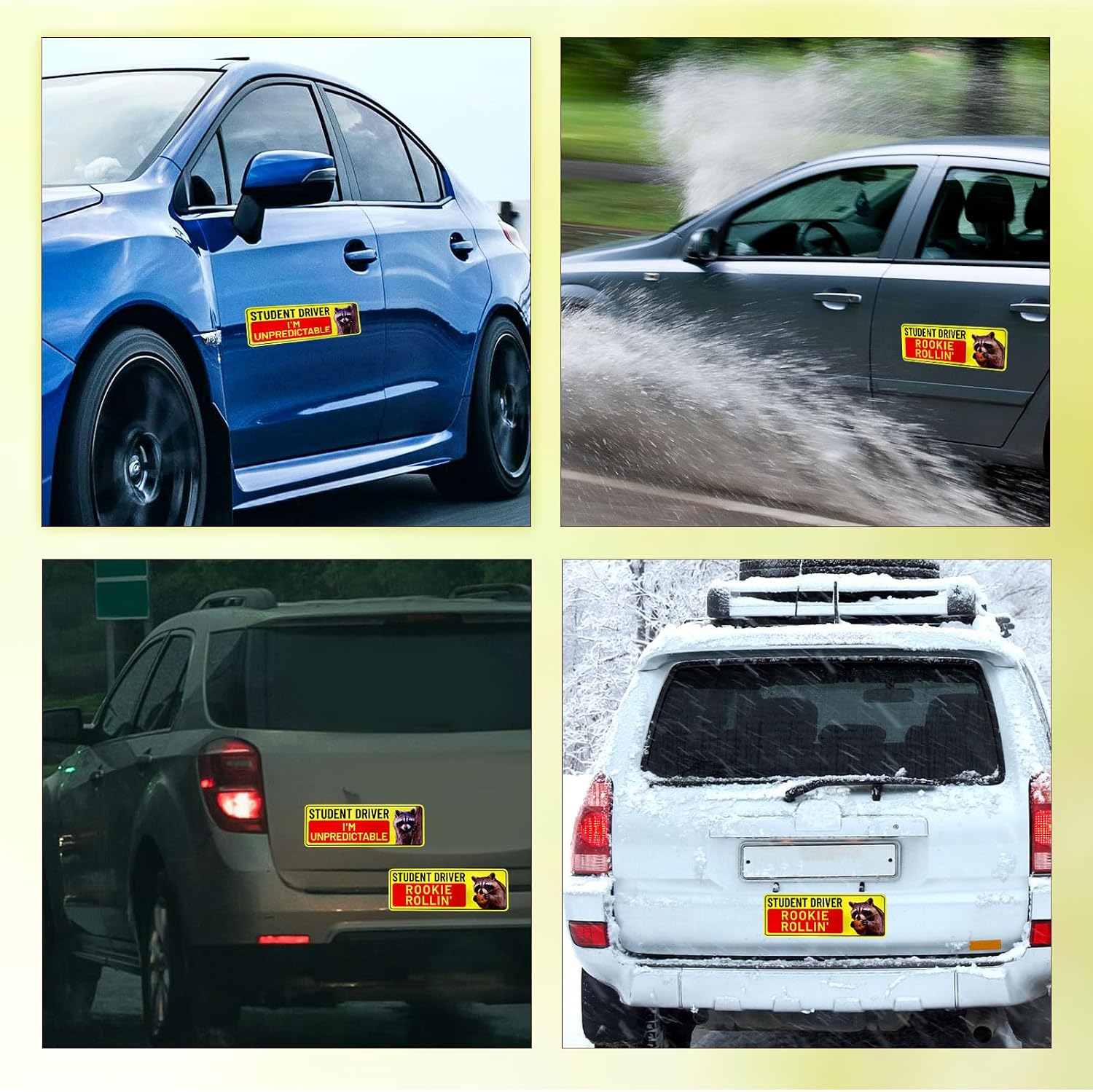 6pcs Funny Student Driver Car Magnets, Cute Reflective New Driver Signs Weatherproof Removable Magnetic Bumper Safety Stickers for Novice (Raccoon)