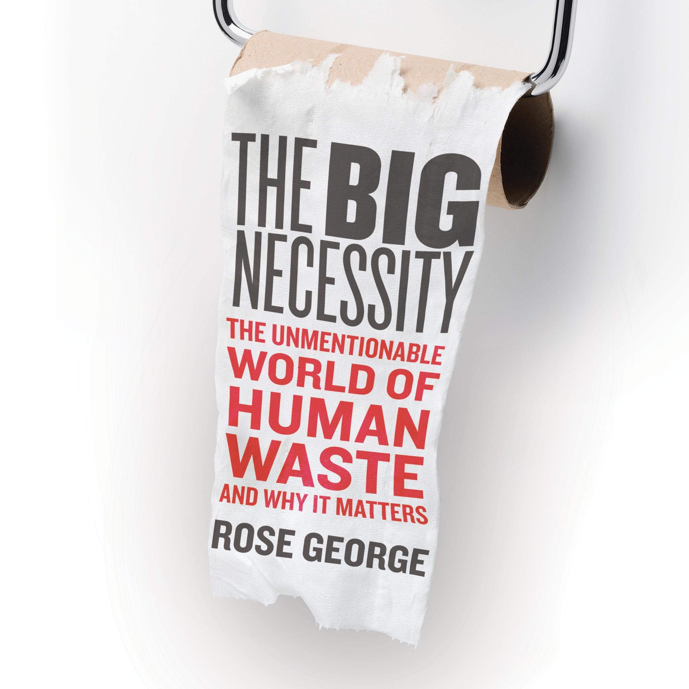 Cover art for The Big Necessity