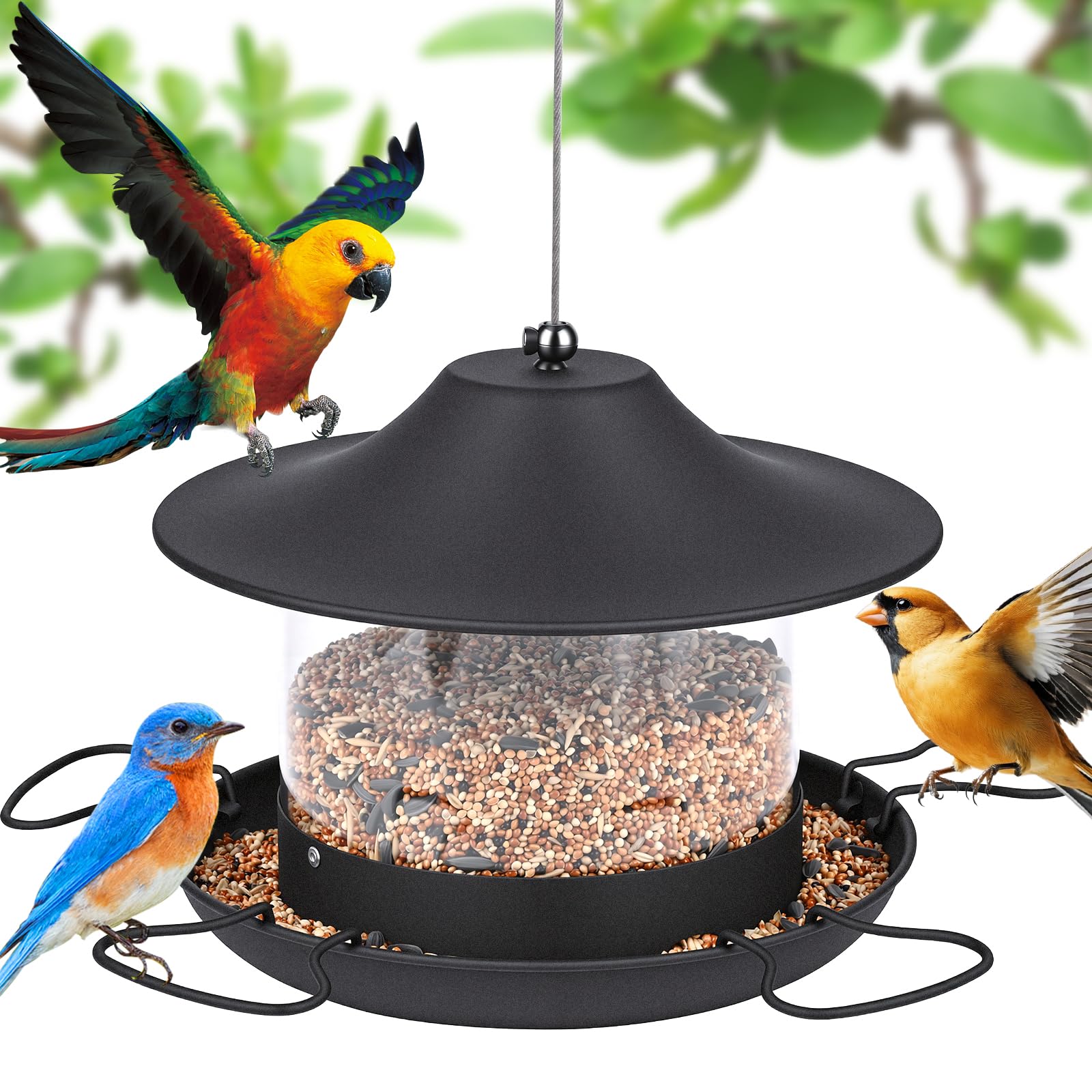 Glovios Comedero Colgante para Pájaros,Comedero Pajaros Exterior 1.8L,Comederos para Pajaros, Comedero Pajaros,Garden,Balcón y jardín, Educación al Aire Libre, Pico, Alimentación de Aves,Negro