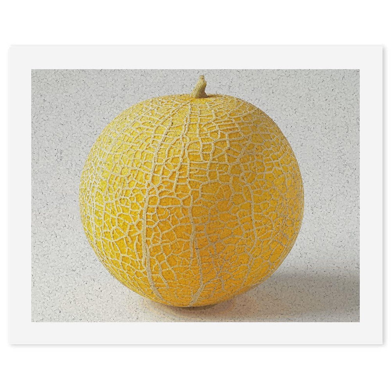 Kit de pintura por números RTBKLYQ de fruta entera con lienzo digital para principiantes 7