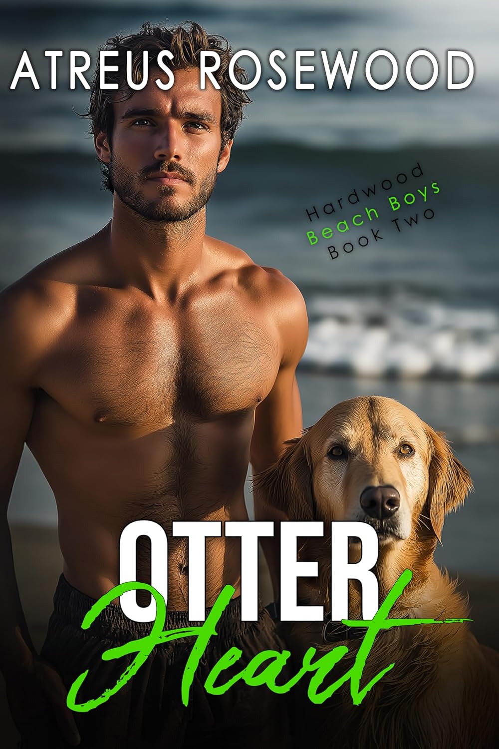 Otter Heart: Gay Contemporary Beach Romance (Hardwood Beach Boys Book 2)