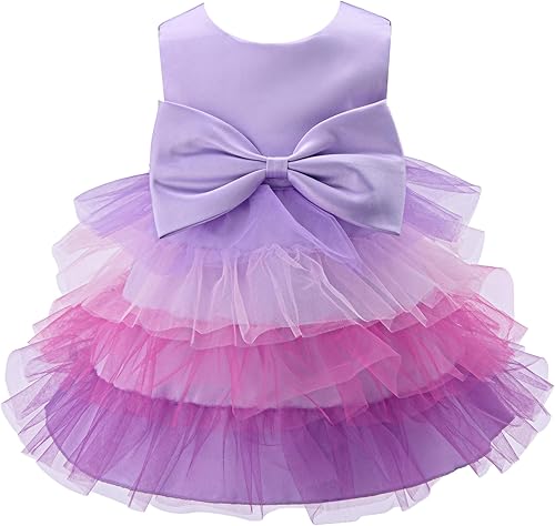 Bow Dream Baby Flower Girl Dress Tutu Princess Tulle Wedding Toddler Party Forma