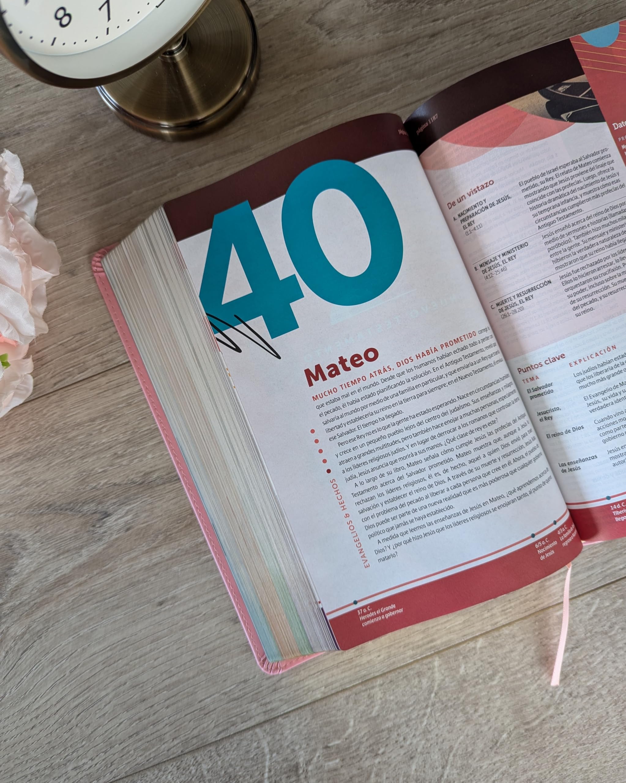 Biblia de Estudio del Diario Vivir Para Jovenes Ntv (Sentipiel, Rosa Pastel, Indice, Letra Roja, Habilitada Para Filament): Biblia de estudio del ... Pink, Indexed, Red Letter, With ribbon marker