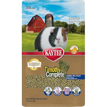 e collar for barking