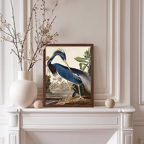 Miniatura 238 de Poster Master Póster vintage de flamenco americano, estampado retro de flamenco rosa, arte de pájaro, regalo para él, ella, amante de los animales,