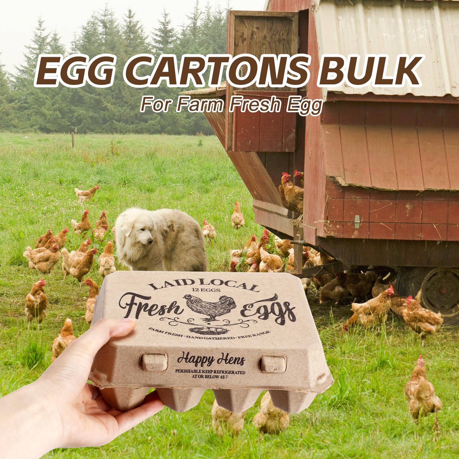 Zhanmai 50 cajas de huevos de pulpa de papel natural en blanco cuadradas a granel, cajas de huevos de gallina, 12 unidades, docenas de estilo clásico vintage de 3 x 4, bandeja de huevos de cartón para
