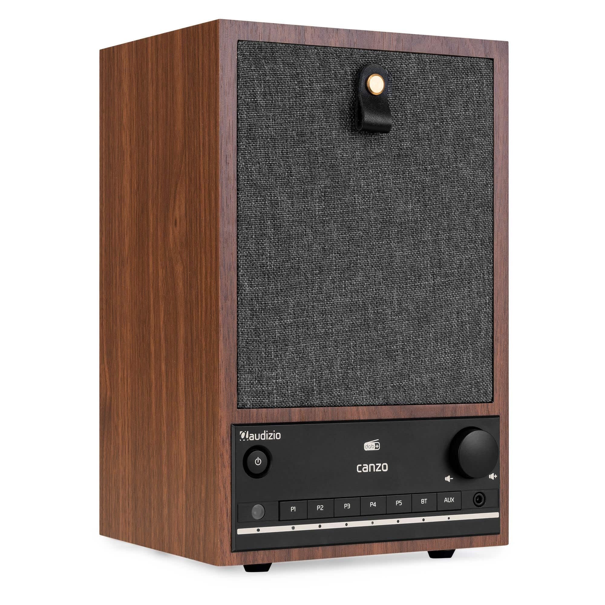 Audizio Canzo Radio DAB Internetradio WLAN Bluetooth 5.3 Digitale Telecomando Cucina Collegamento LAN AUX Line-Out