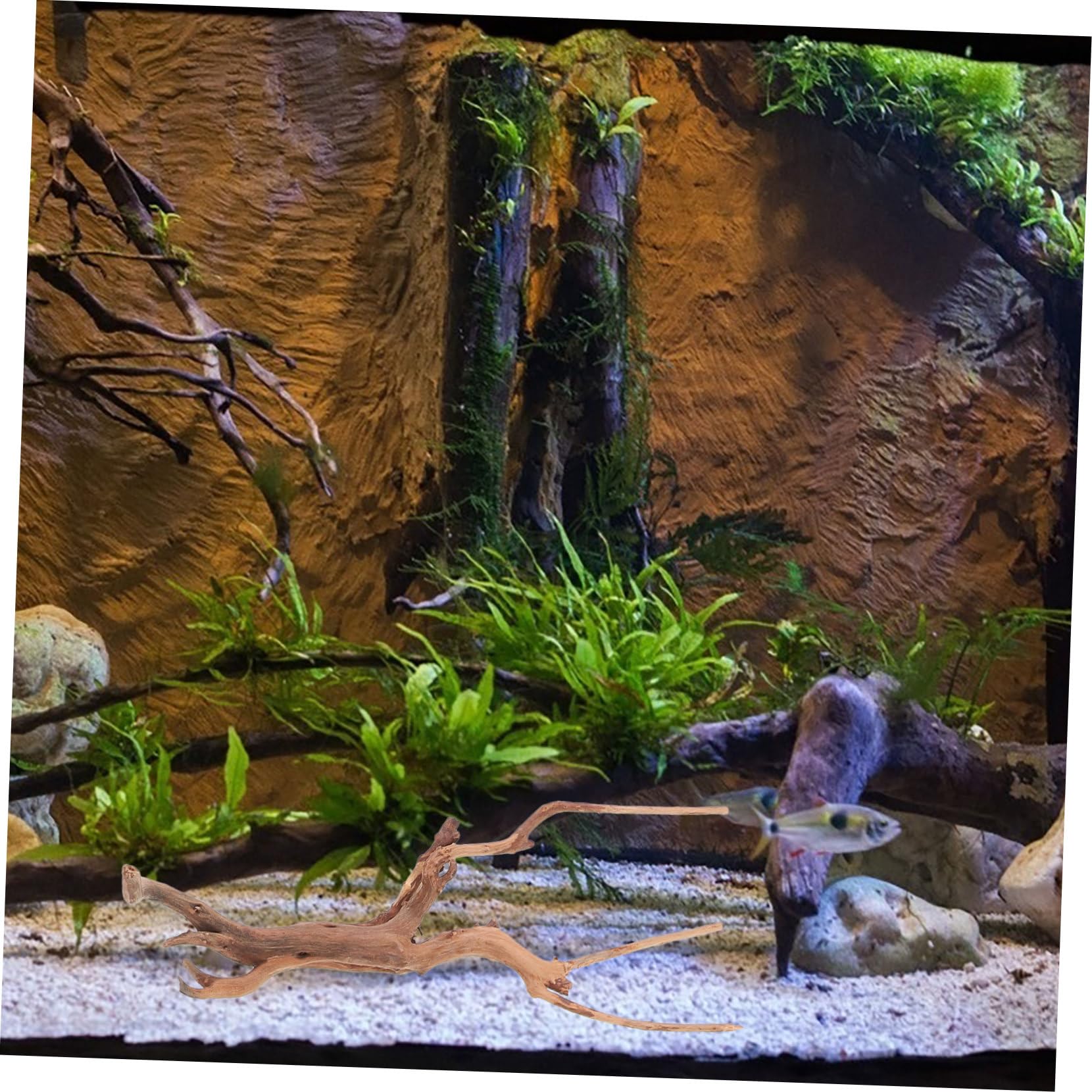 Toddmomy 3piezas Madera Flotante para Pecera Decoración Natural De Madera Flotante para Acuario Adorno De Tocón De Planta para De Acuario para Peceras y Hábitats De Reptiles